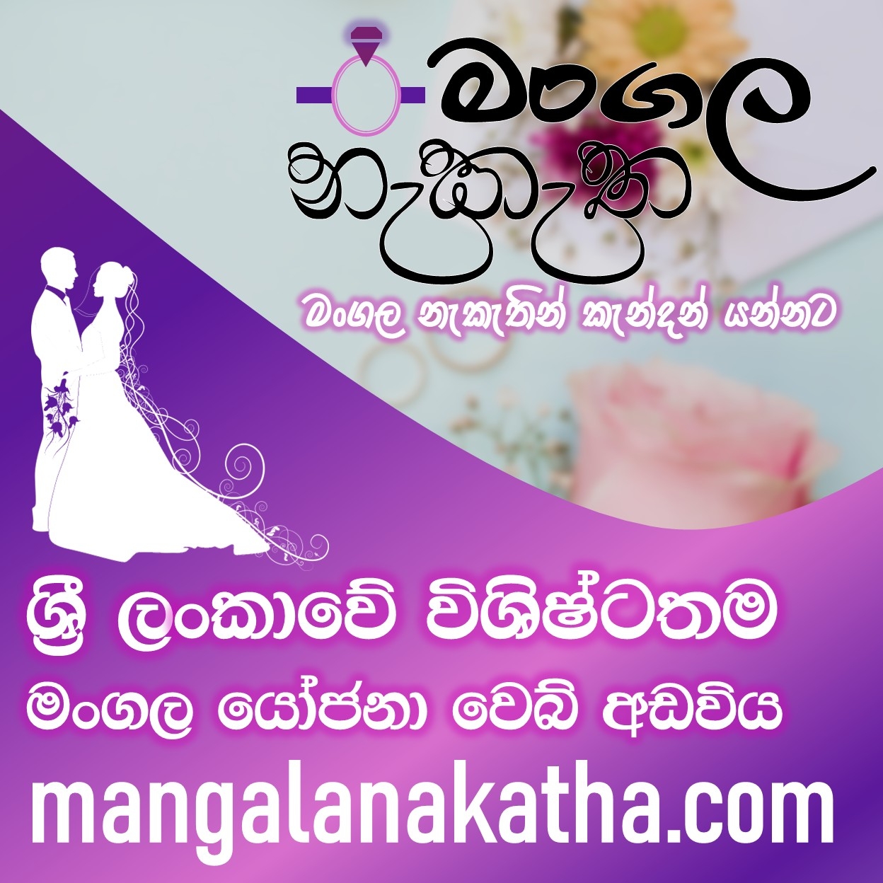 Senaro Education Center Logo